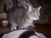 Carla Raney-brenneman