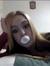 Emily D...