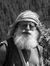 Mick Dodge