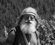 Mick Dodge