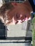 Johan E...