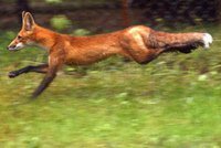 Jean-philippe Halgand