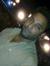 Amit Nikam