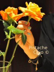 Pistache Chio