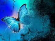 Fatima Abbas