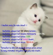 Amsyar Numist