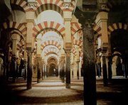 محمد أبونار