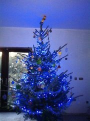 Terry-anne Constable