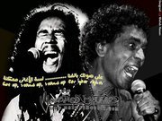 Mohamed Mansour
