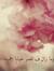 شروق عوجان