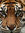 Corap | 1 comments