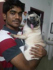 Abhishek Gopalakrishnan