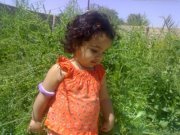 حيدر الحمزاوي