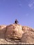 Ayman D...