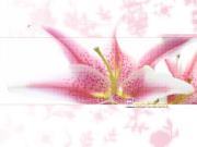 فرحة للإرشاد النفسى