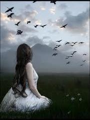 همسات نيلوفر