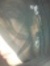 Saiqa S...