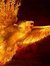 Phoenix...