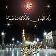 Bassem Aldine