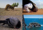 عراس فيلالي