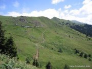 ალექსანდრე მგალობლიშვილი