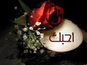Ahmed Mahrous
