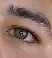 حمص للحماصنة