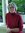 Babette Donaldson (babette_donaldson) | 2 comments