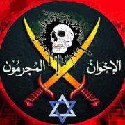 Waleed Mohamed