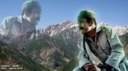 Reza Mohammad amini