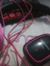 Hilma Mint