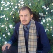 شعيب القديمي