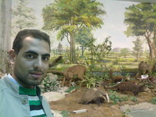 Aly Mohamed