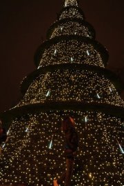 Ангела Мицевска