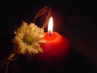 سلمى العربية