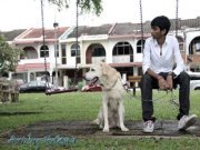 Hirustaa Manirajan
