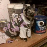 Missy H