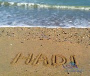 Hadi Bashir