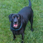 Screwlousse L'offtraque