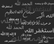 حيرة الضاوي