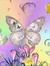 Lizbeth R