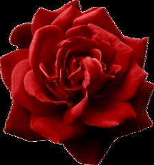 محمد اسد اللہ علی اعوان