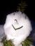 Patty Helbig