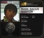 Mark Auditor