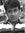 Harshil...