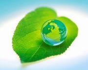 Muhamad Doris chaniago