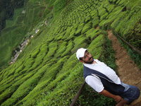 عوض العواضي