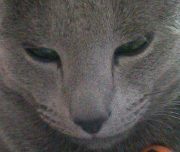 Lisette Saint germain