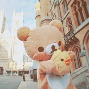 Nguyệt Đặng thị như