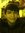 Noe Alex